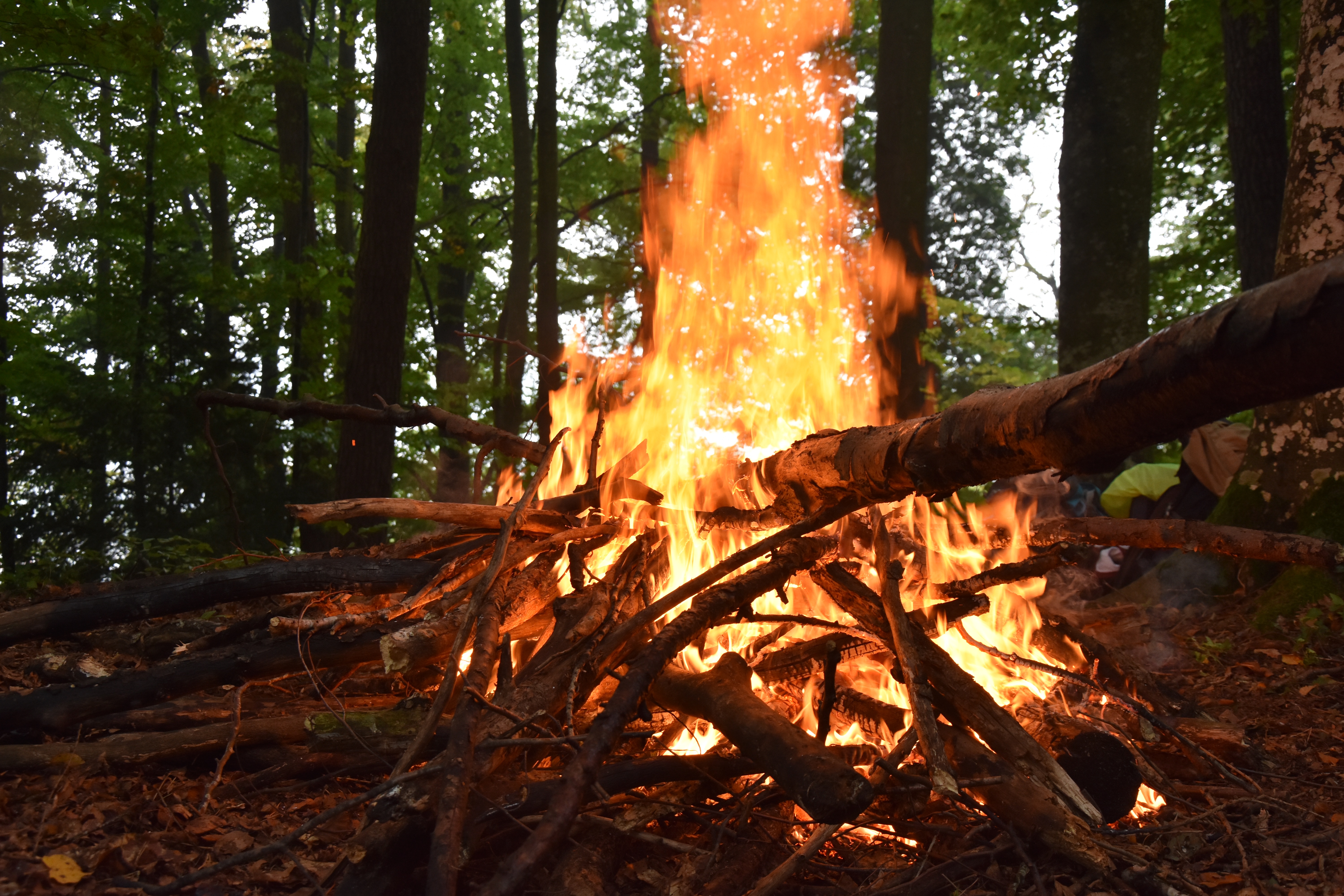 Bonfire