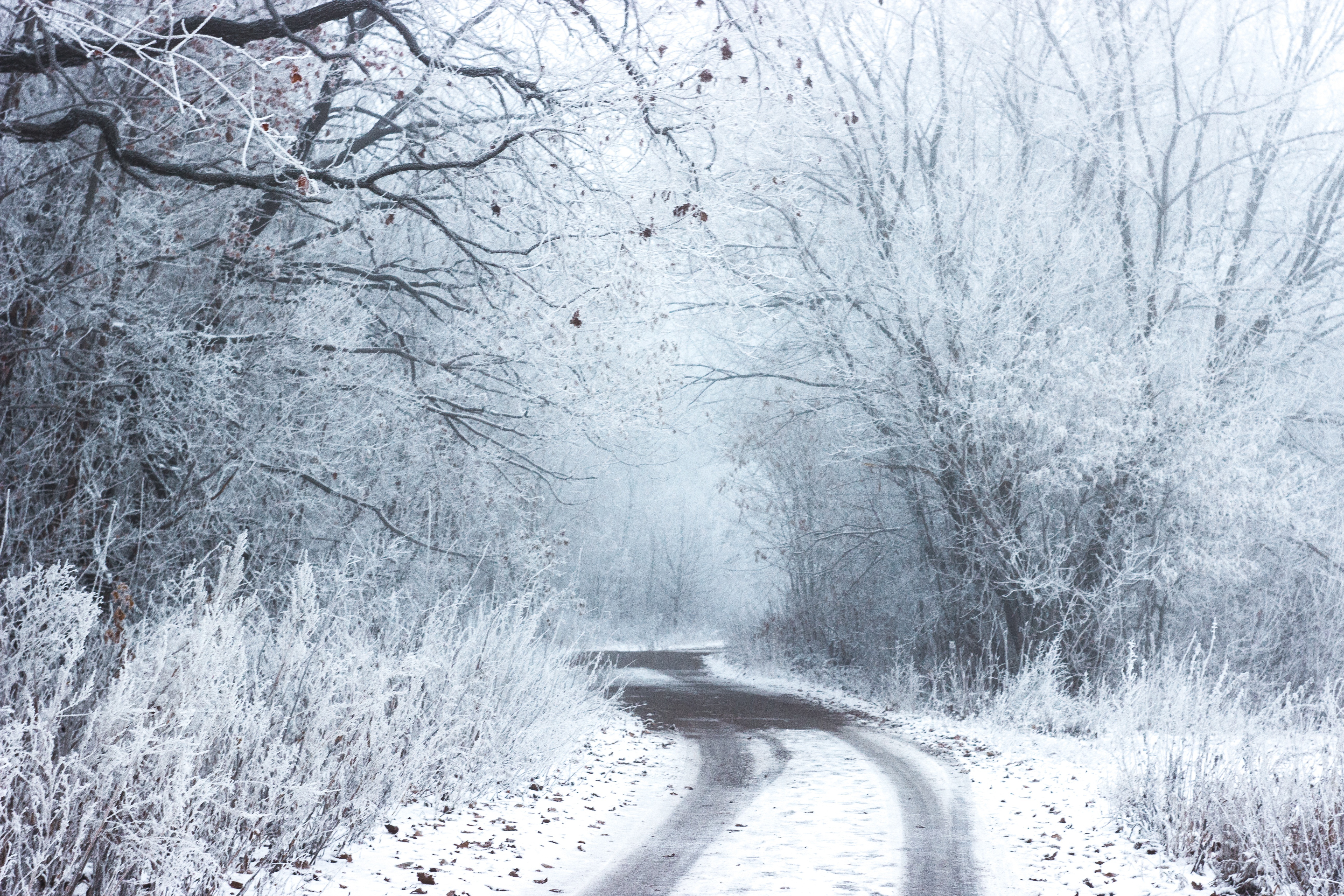 Snowy road