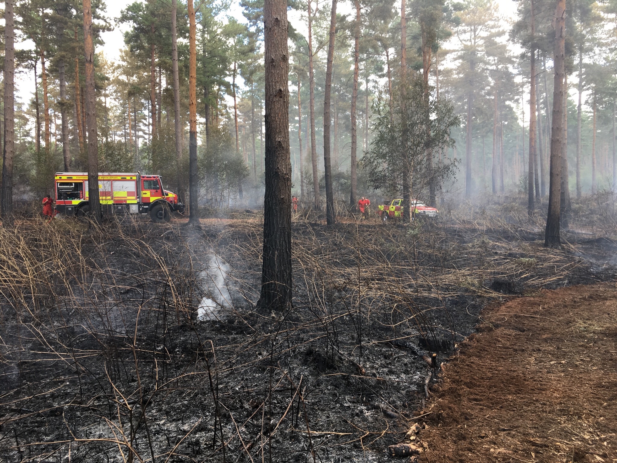 Woodland fire